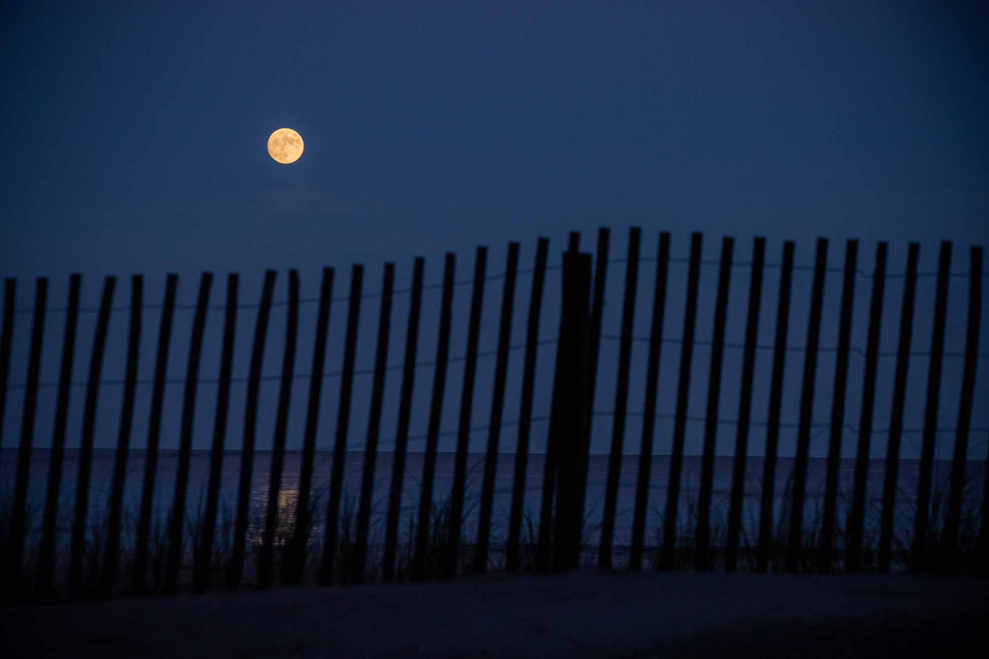 Beach Moon